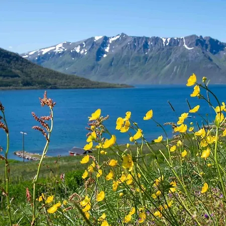 On The Scenic Kveoya Island * Borkenes