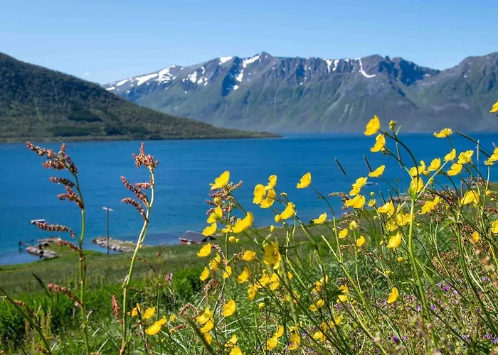 On The Scenic Kveoya Island * Borkenes