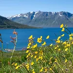 On The Scenic Kveoya Island * Borkenes